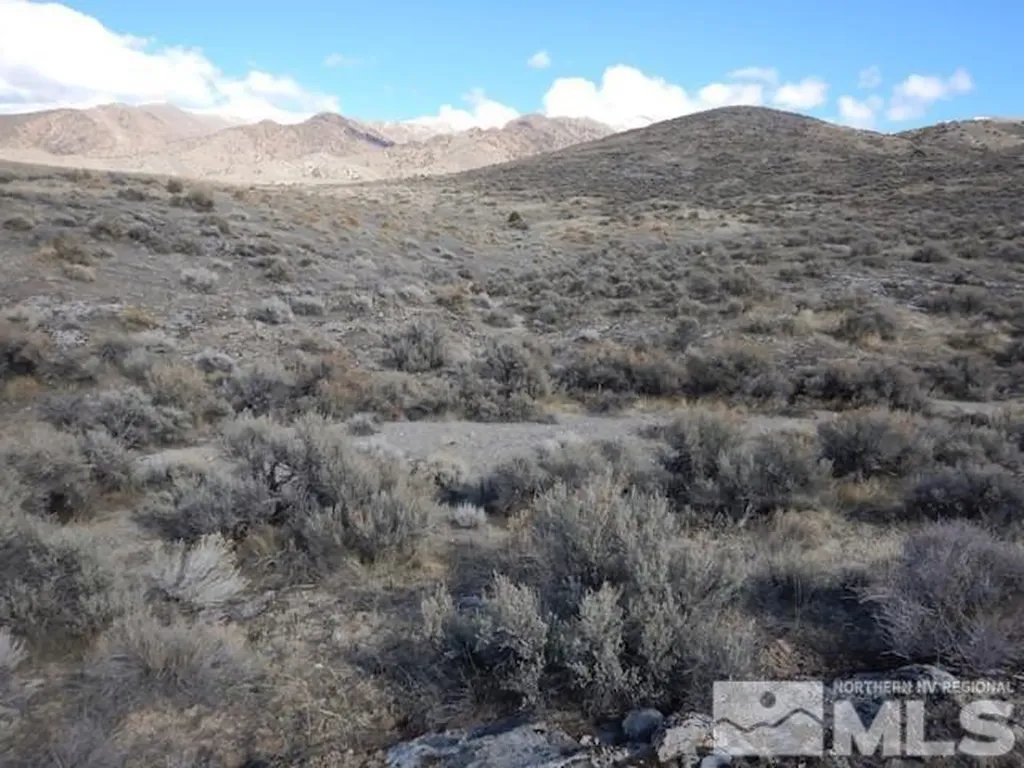 11230 Winter River Lovelock NV 89419