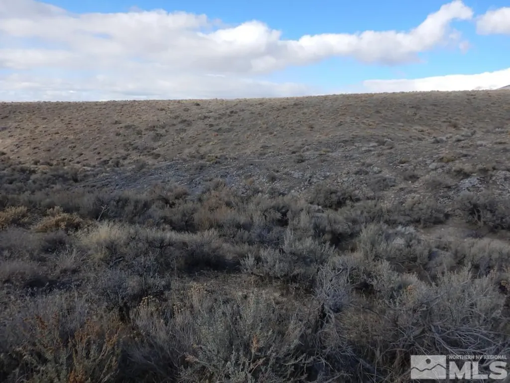 11230 Winter River Lovelock NV 89419