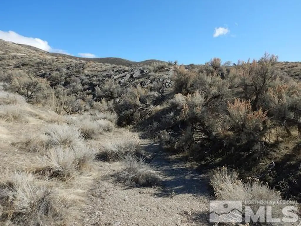 11230 Winter River Lovelock NV 89419