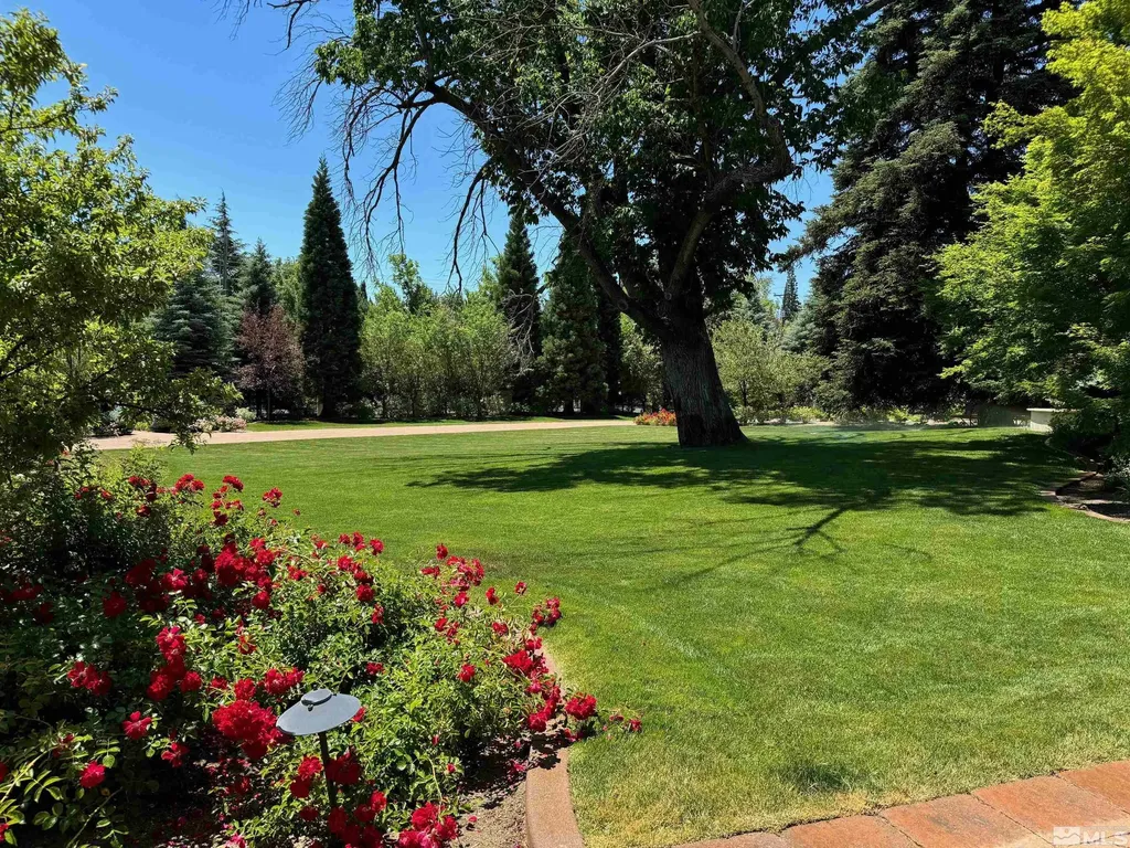 631 California Reno NV 89509