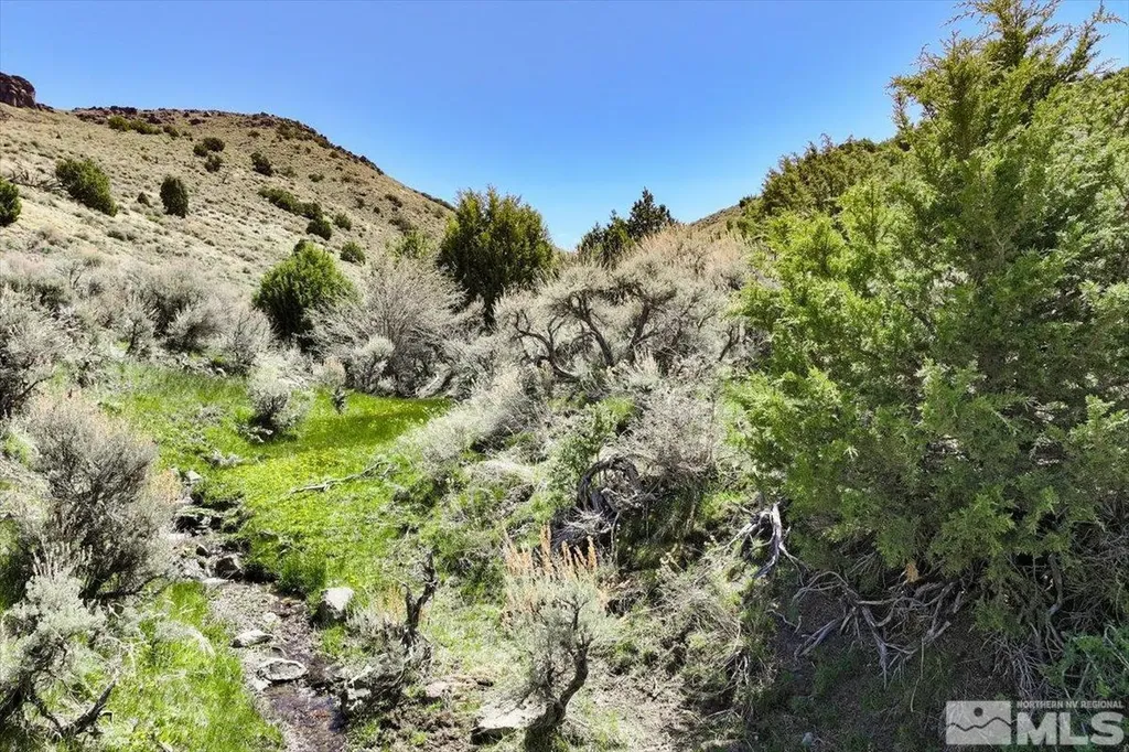 0 Pah Rah Springs Reno NV 89510