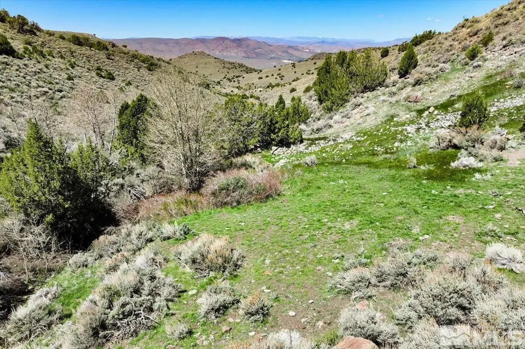 0 Pah Rah Springs Reno NV 89510