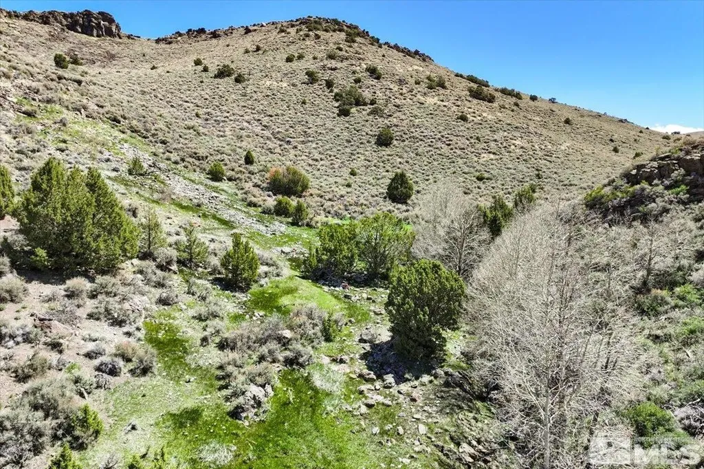 0 Pah Rah Springs Reno NV 89510