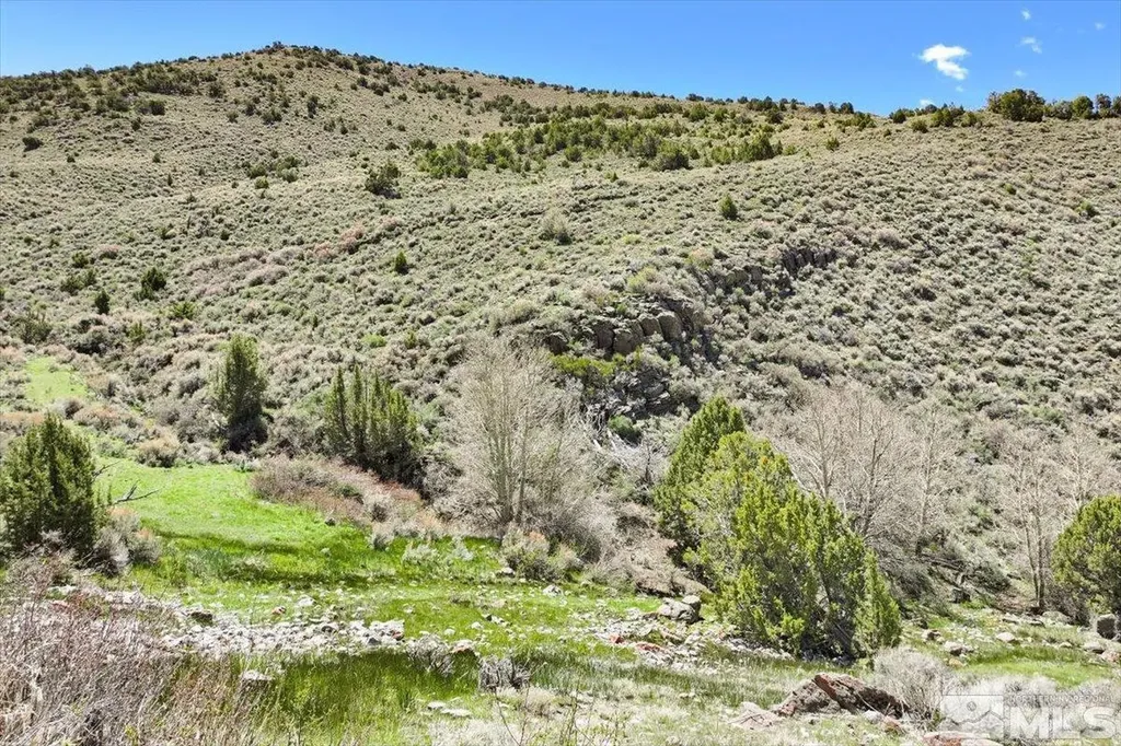0 Pah Rah Springs Reno NV 89510
