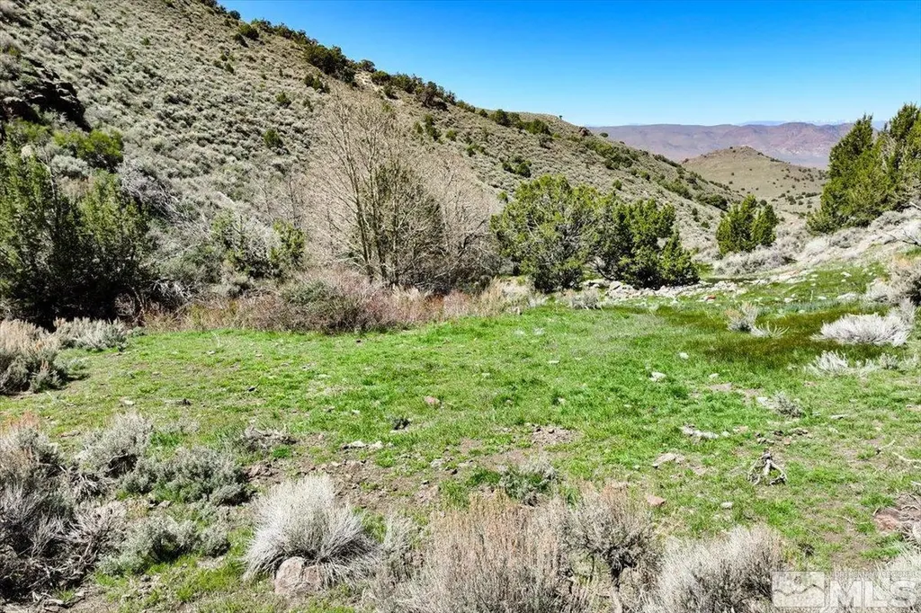 0 Pah Rah Springs Reno NV 89510