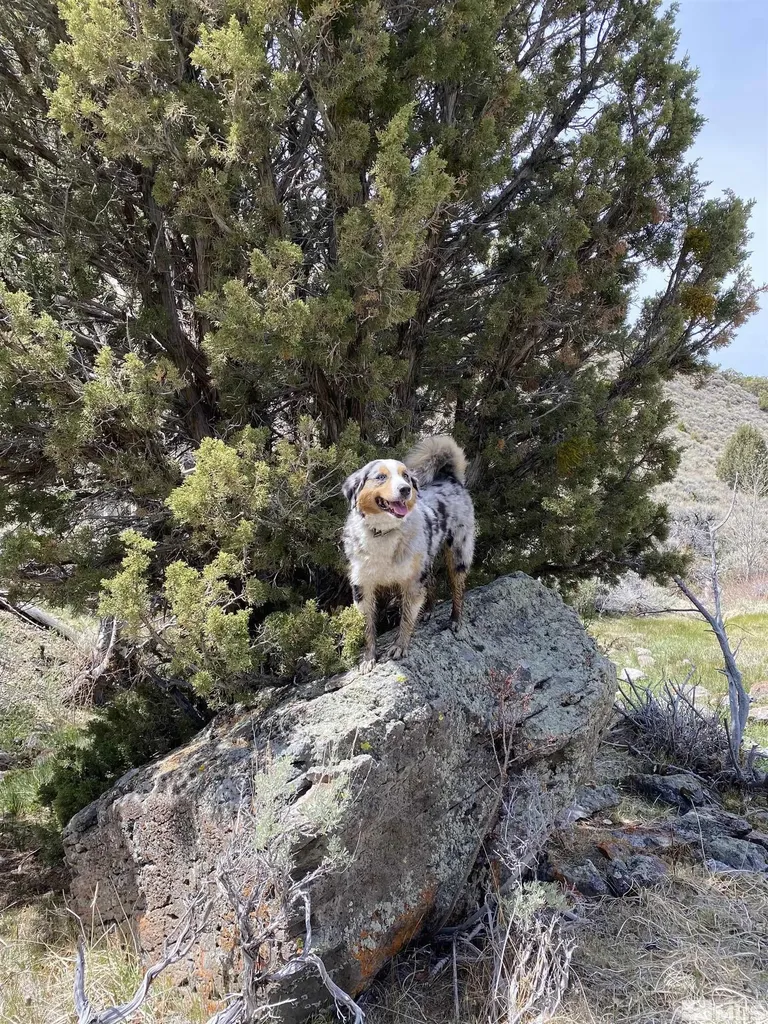 0 Pah Rah Springs Reno NV 89510