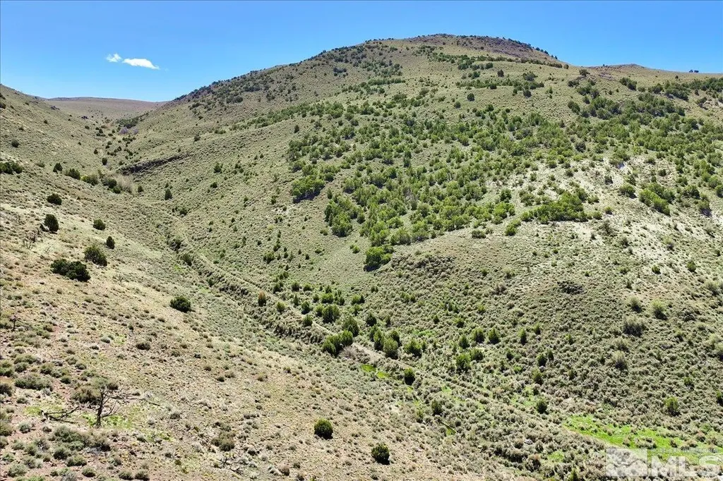 0 Pah Rah Springs Reno NV 89510