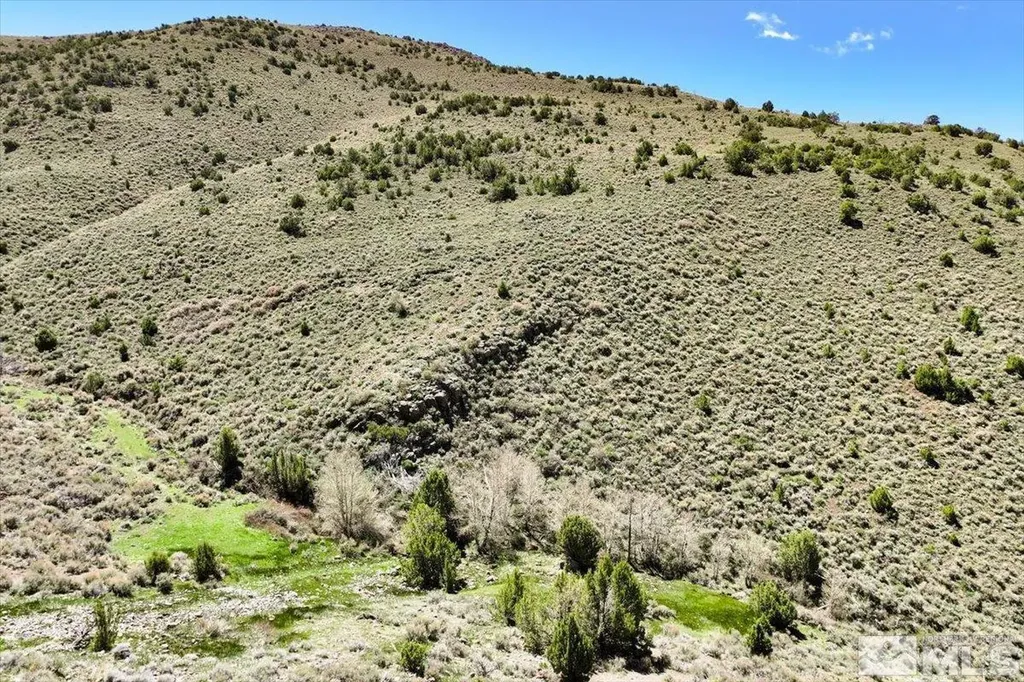 0 Pah Rah Springs Reno NV 89510