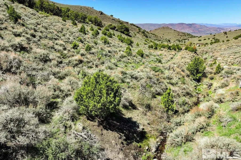 0 Pah Rah Springs Reno NV 89510