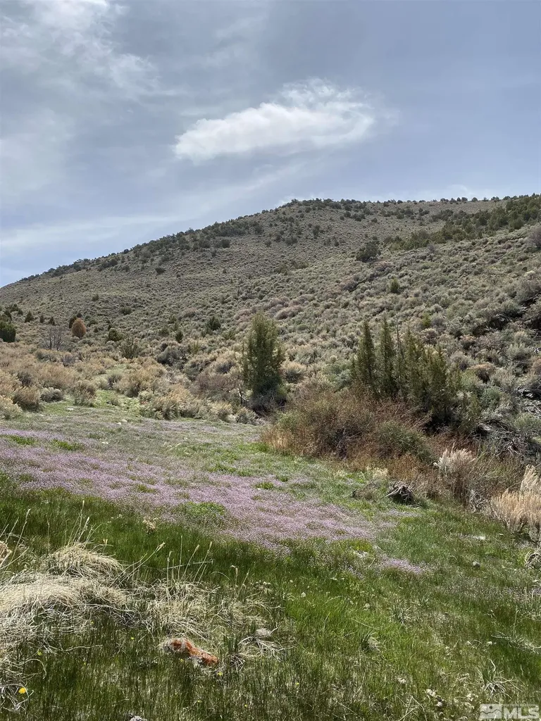 0 Pah Rah Springs Reno NV 89510