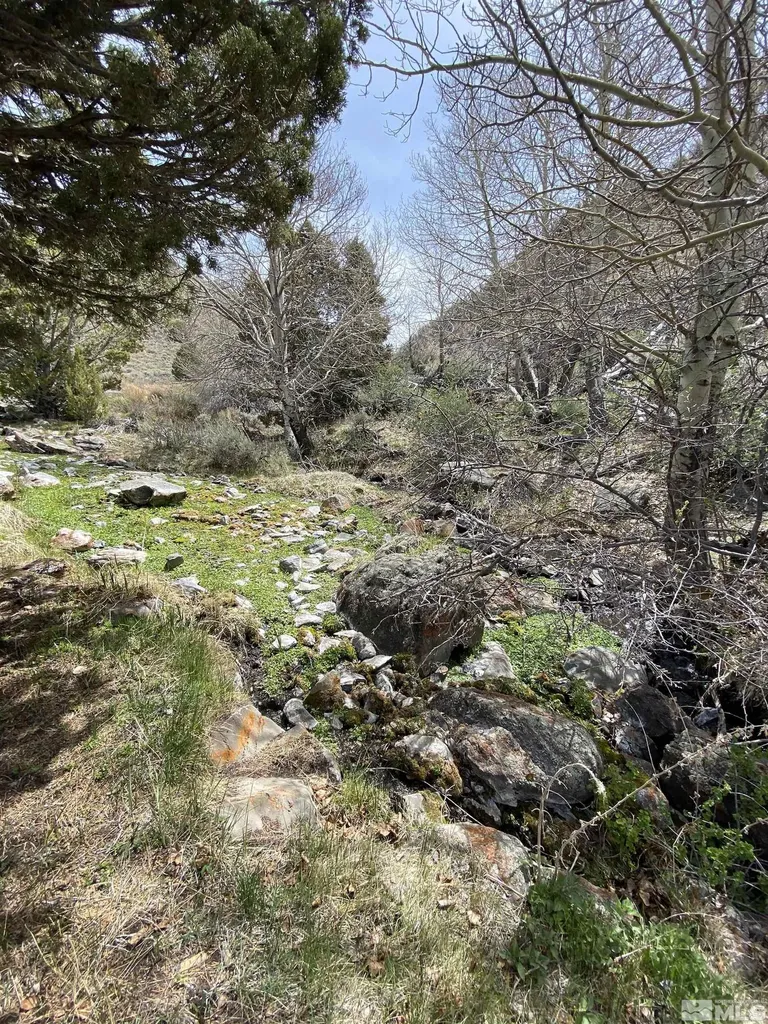 0 Pah Rah Springs Reno NV 89510