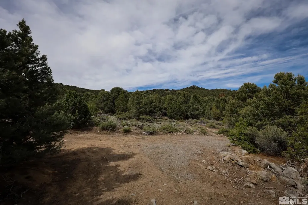 4630 Prospect Reno NV 89521