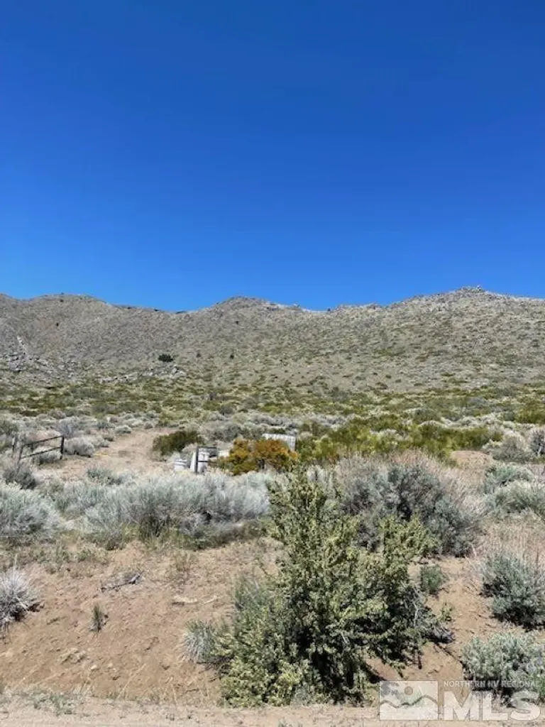 1305 Freds Mountain Reno NV 89508