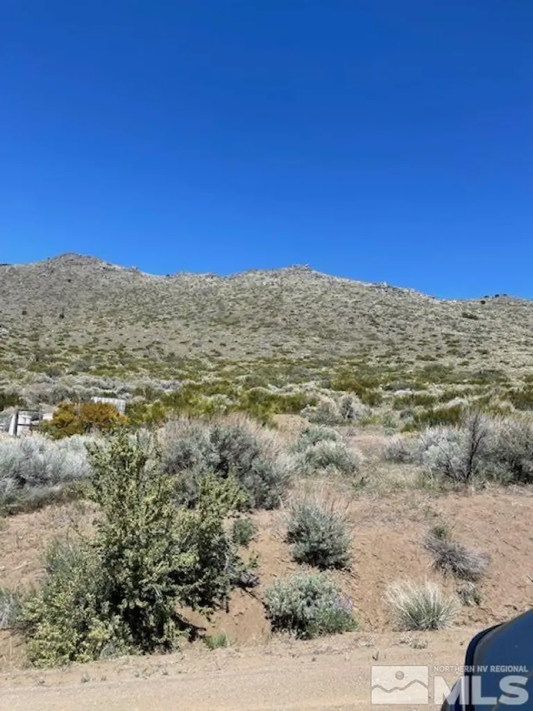1305 Freds Mountain Reno NV 89508