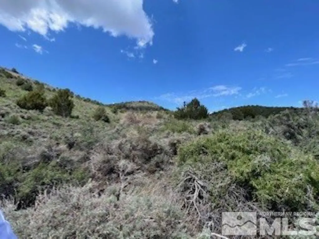 4720 Lost Burro Virginia City NV 89521