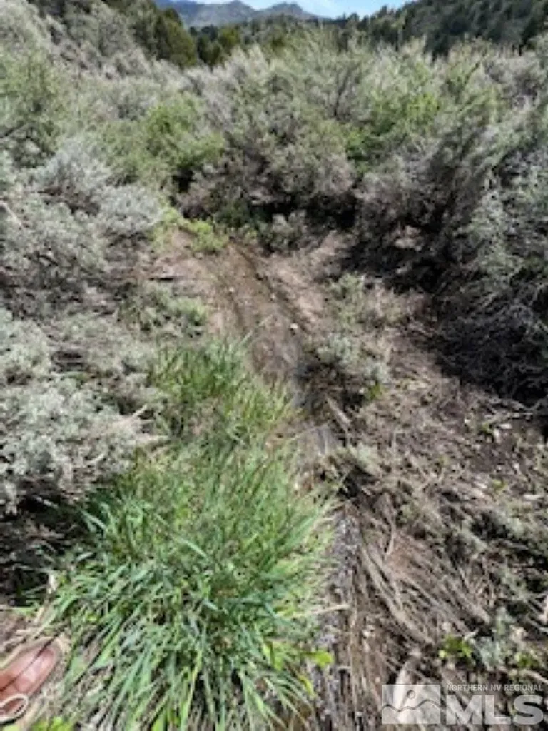 4720 Lost Burro Virginia City NV 89521