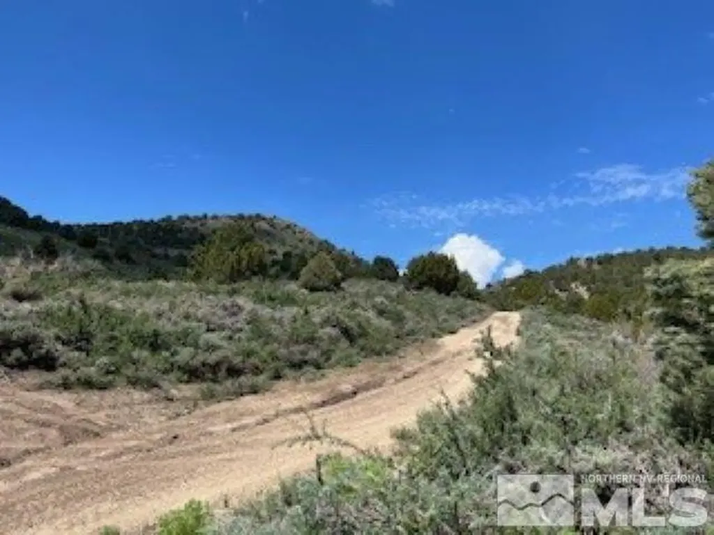 4720 Lost Burro Virginia City NV 89521