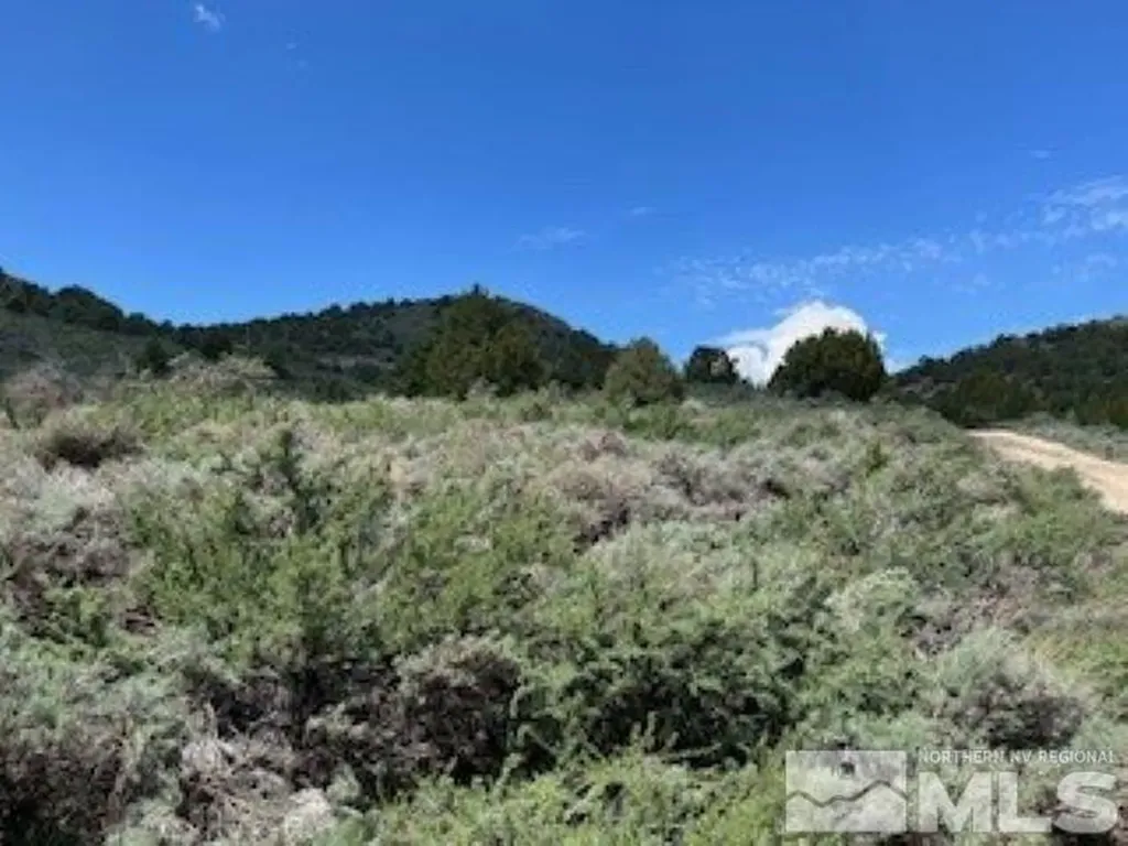4720 Lost Burro Virginia City NV 89521