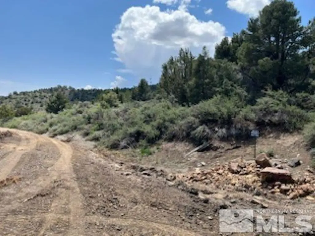 4720 Lost Burro Virginia City NV 89521