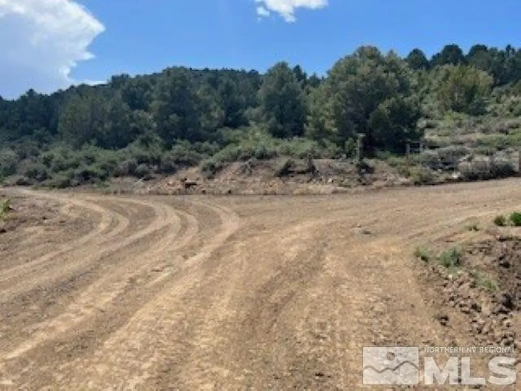4720 Lost Burro Virginia City NV 89521