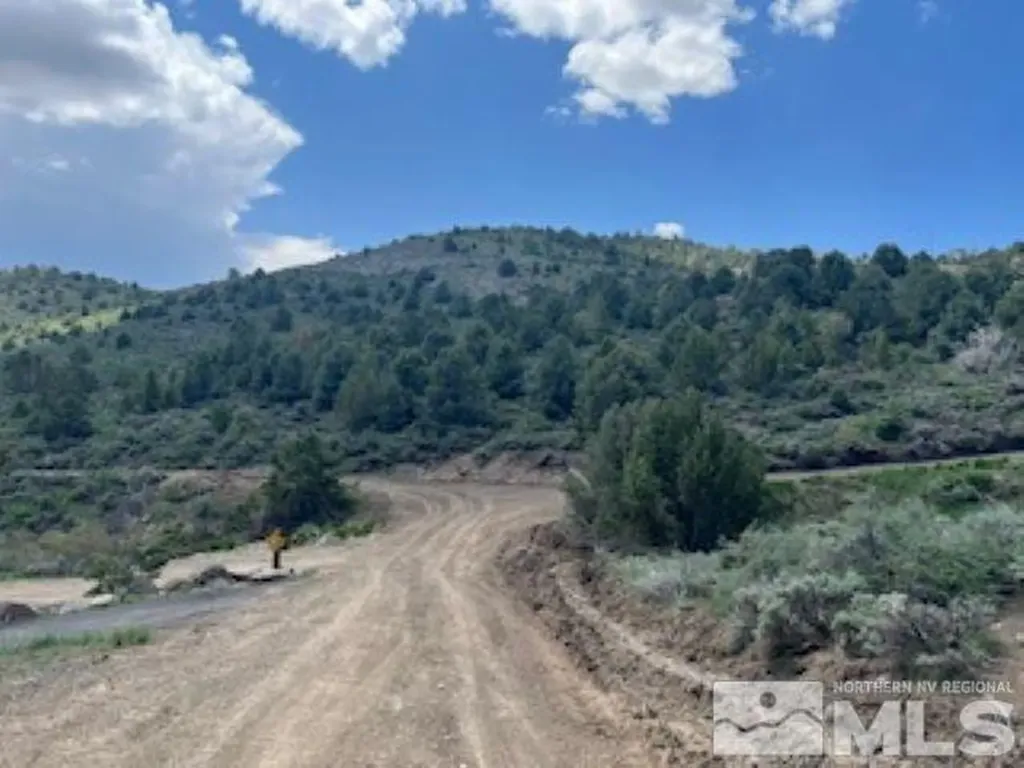 4720 Lost Burro Virginia City NV 89521