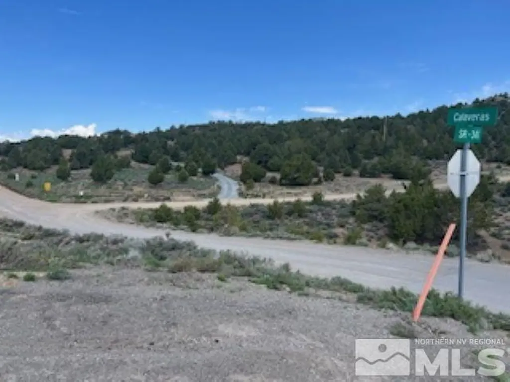 4720 Lost Burro Virginia City NV 89521