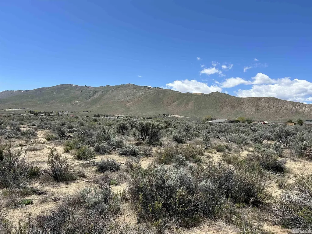 22905 Fetlock Reno NV 89508