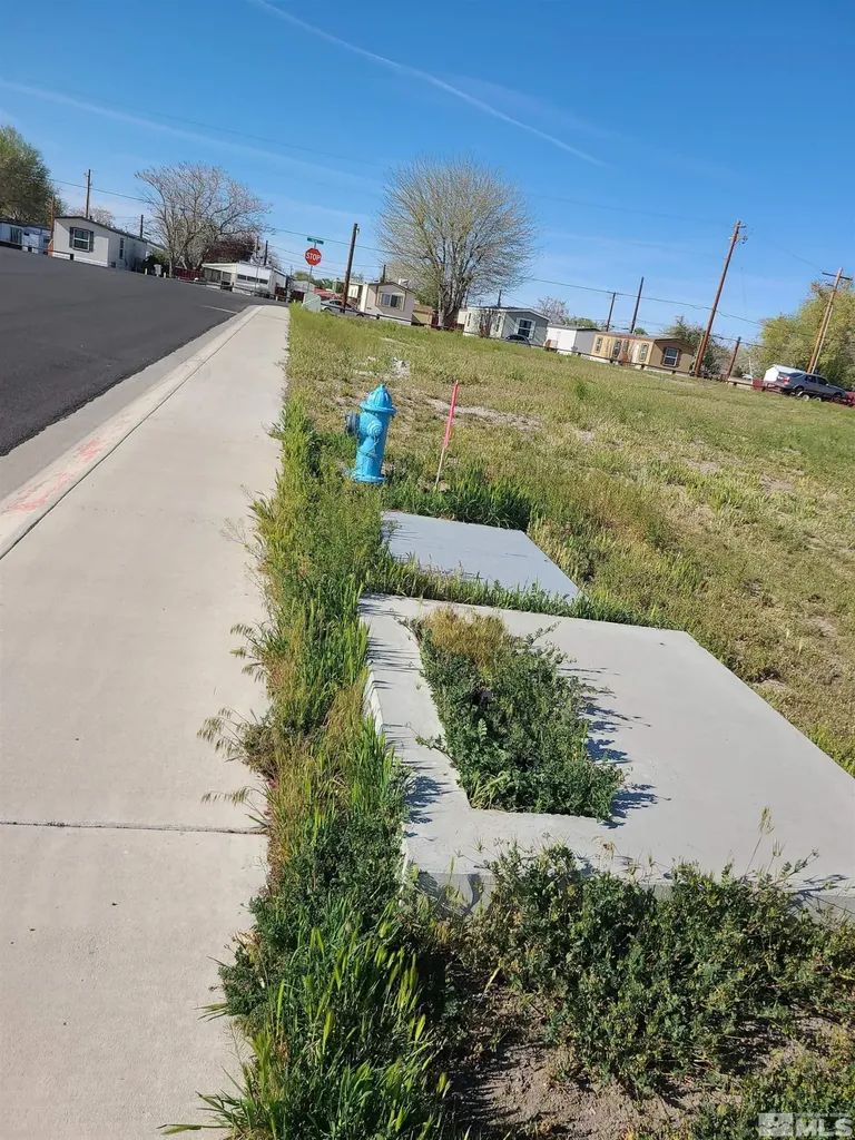 361 Silver Spur Fallon NV 89406
