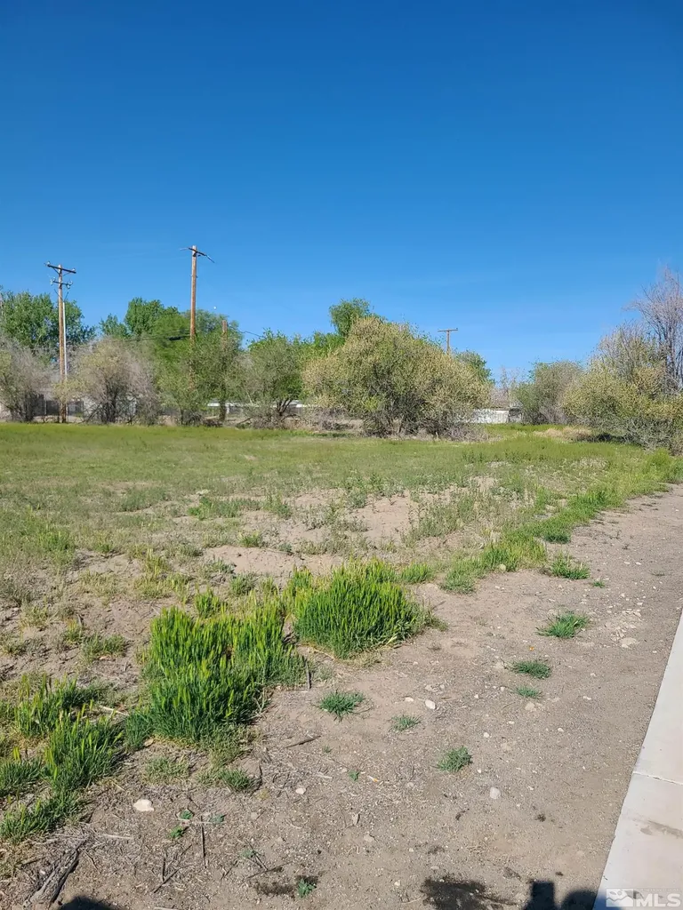361 Silver Spur Fallon NV 89406