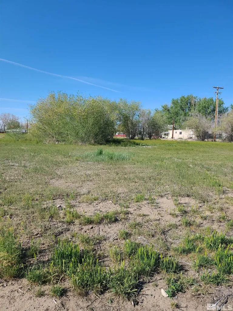 361 Silver Spur Fallon NV 89406