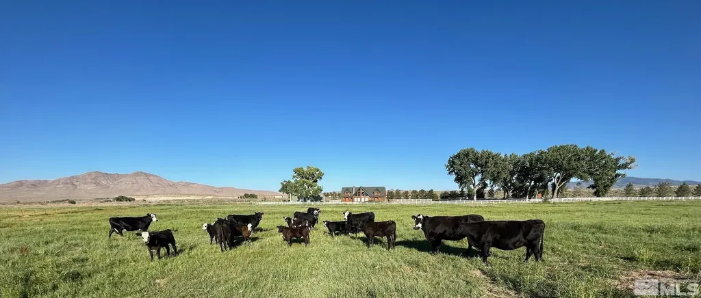 250 Olson Ranch Wellington NV 89430