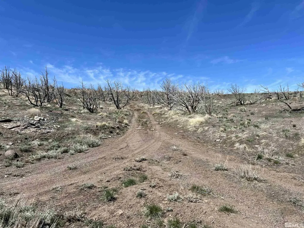 400 Vista Reno NV 89510