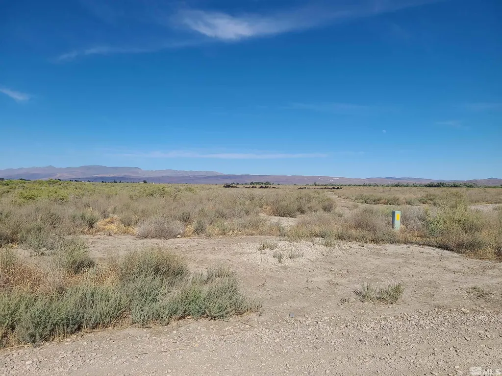 750 Sage Fallon NV 89406