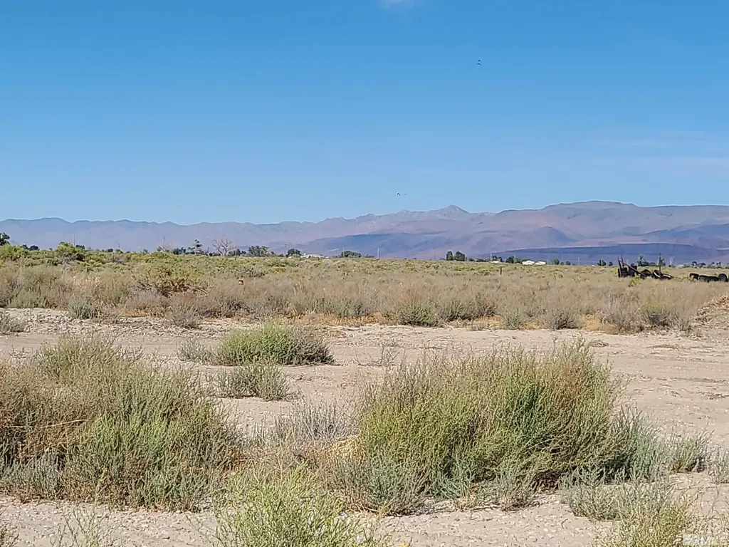 750 Sage Fallon NV 89406