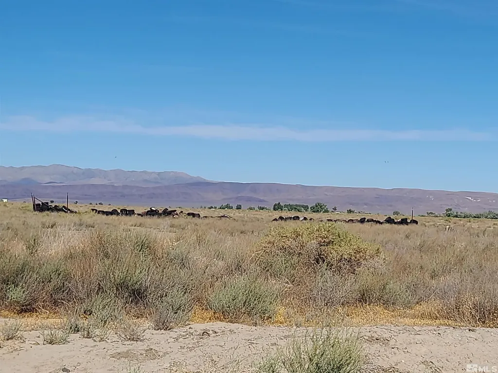 750 Sage Fallon NV 89406