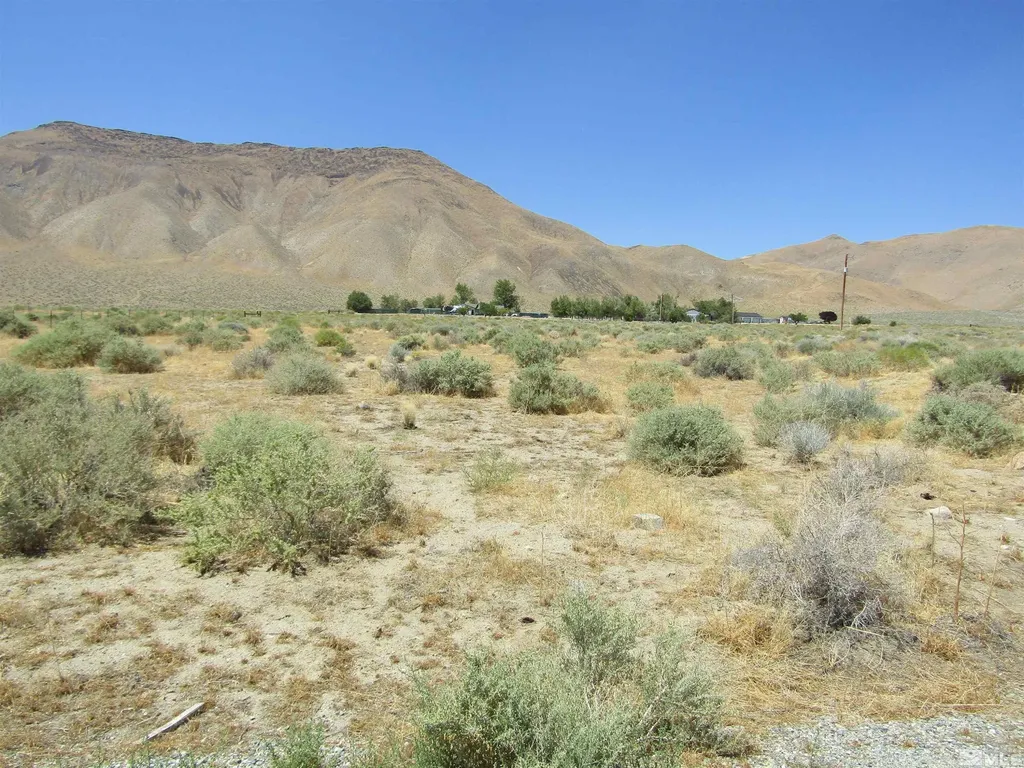 47 Sunnygrove Yerington NV 89447