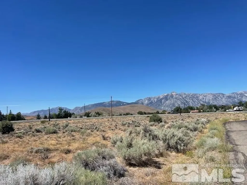 1847 Chestnut Gardnerville NV 89410