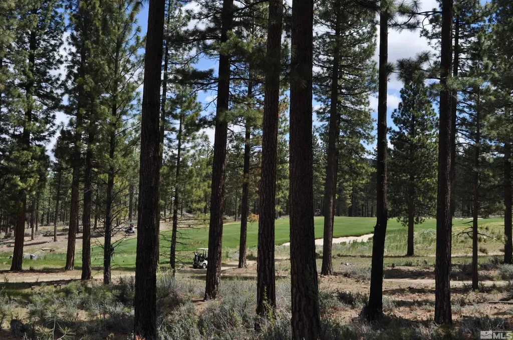 127 Walton Toll Carson City NV 89705