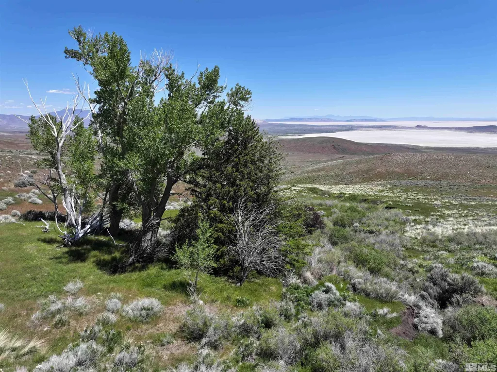 000 Secret Springs Gerlach NV 89412