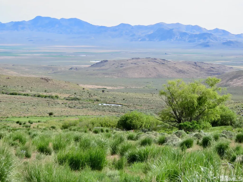 000 Secret Springs Gerlach NV 89412