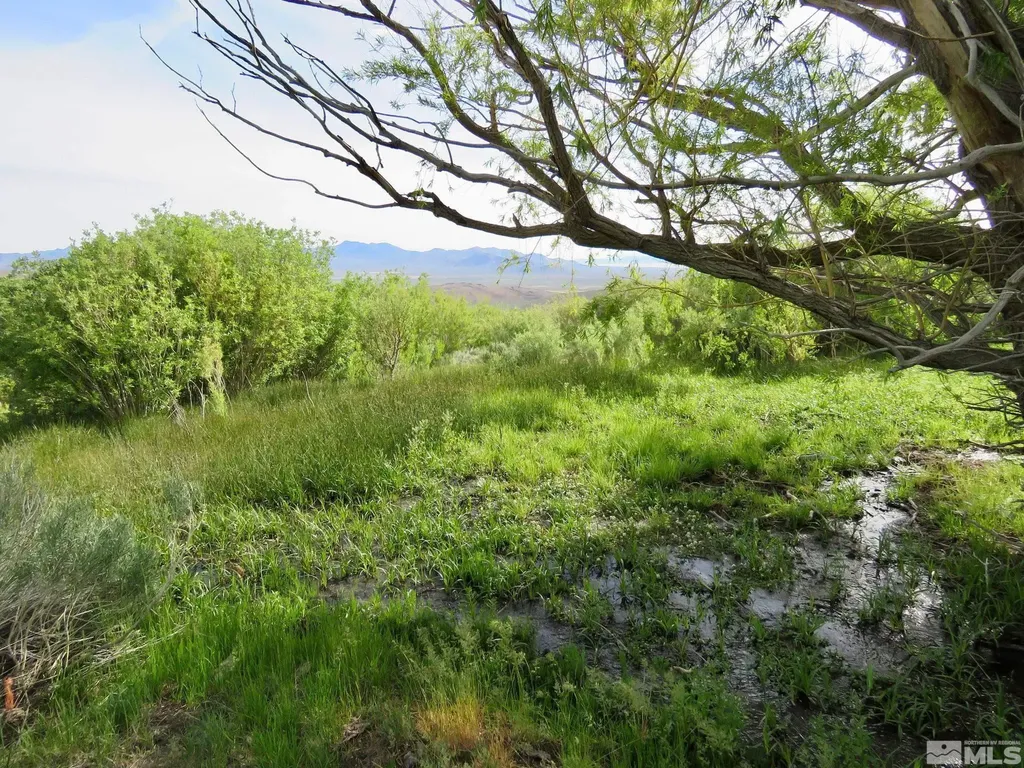 000 Secret Springs Gerlach NV 89412
