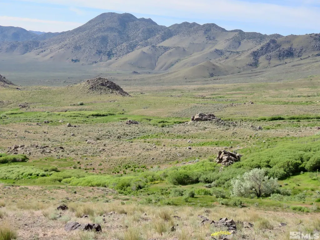 000 Secret Springs Gerlach NV 89412
