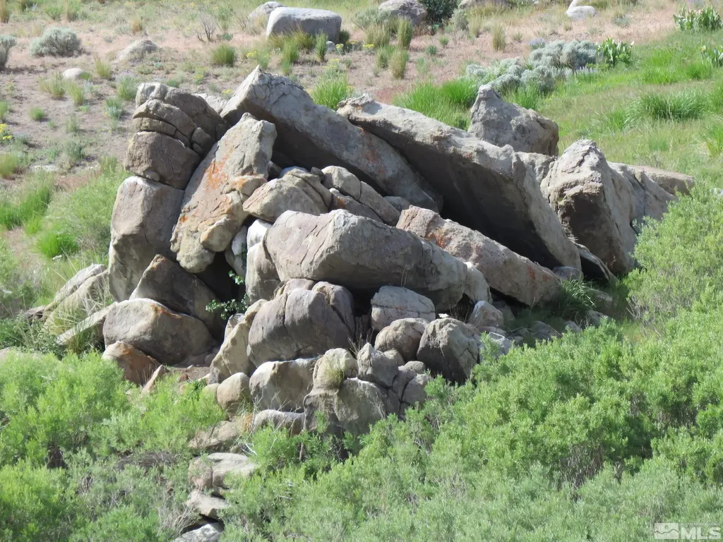 000 Secret Springs Gerlach NV 89412