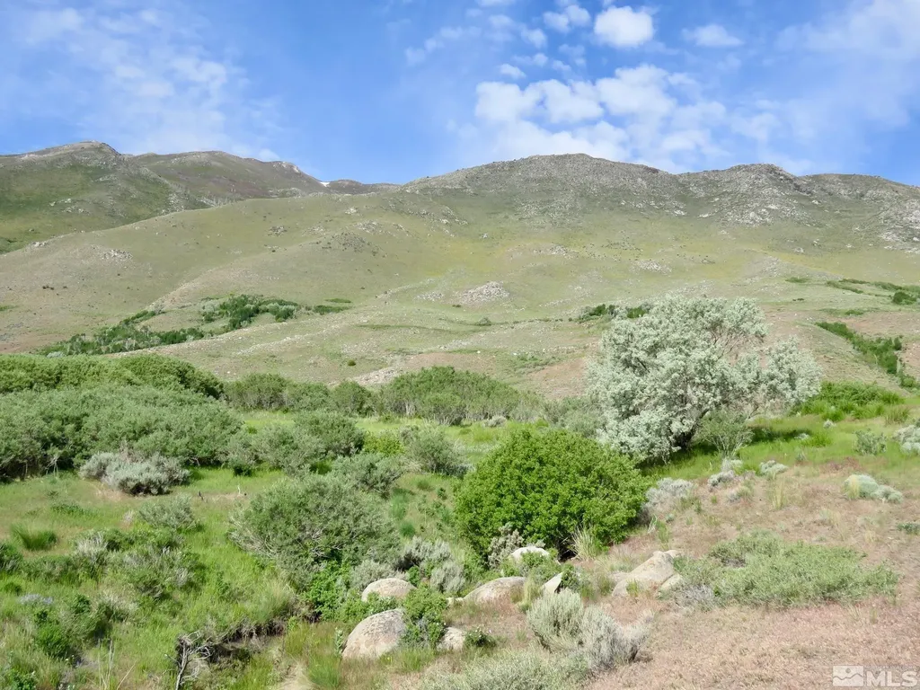 000 Secret Springs Gerlach NV 89412