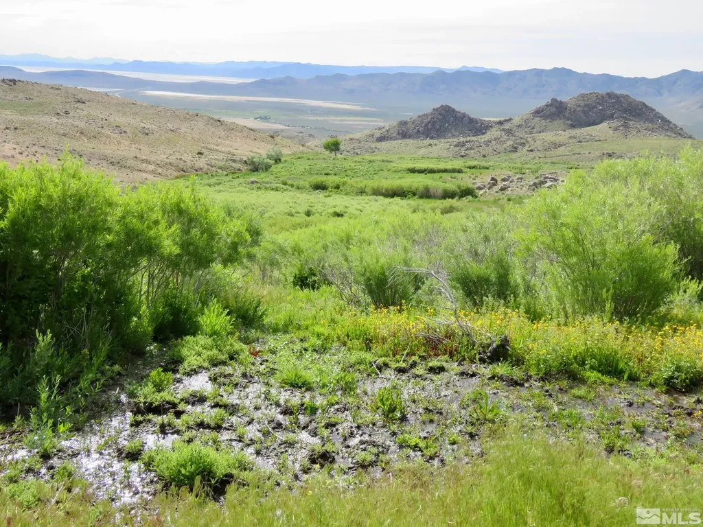 000 Secret Springs Gerlach NV 89412