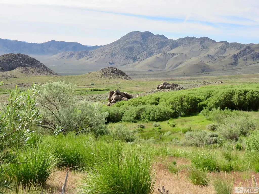 000 Secret Springs Gerlach NV 89412