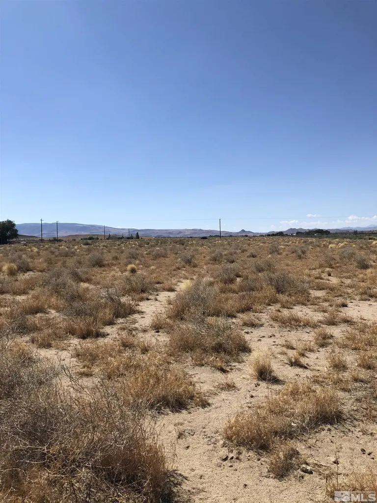 1720 Fir Silver Springs NV 89429