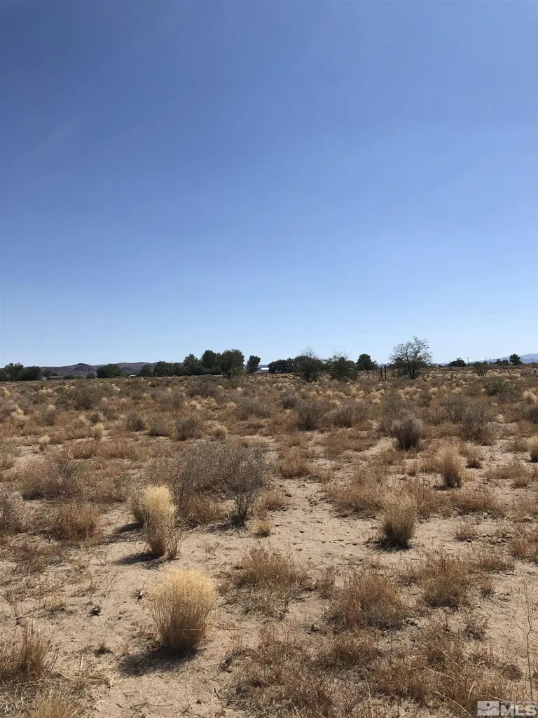1720 Fir Silver Springs NV 89429