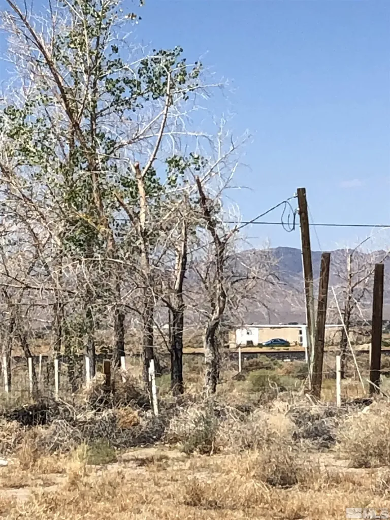 1720 Fir Silver Springs NV 89429