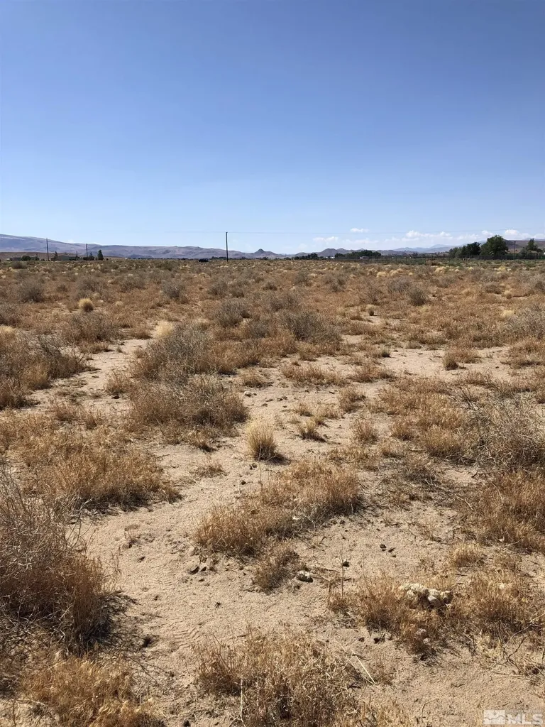 1720 Fir Silver Springs NV 89429